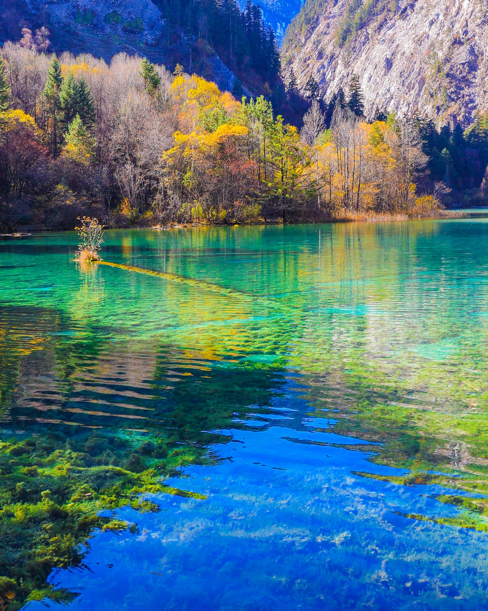 3-day Chengdu to Jiuzhaigou Private Tour – My Panda Tours