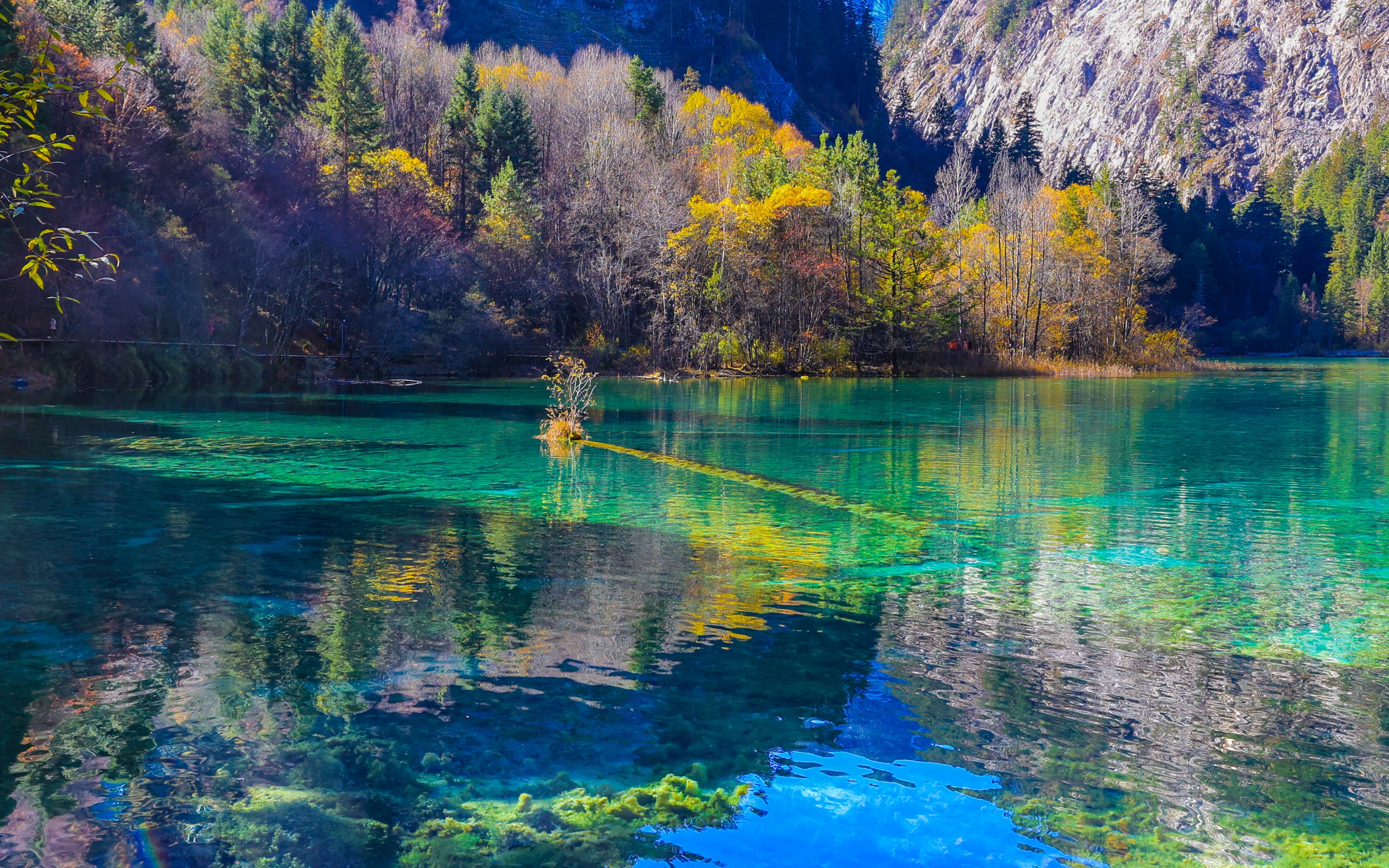 Chengdu to Jiuzhaigou Scenic Area Huanglong Classic 4-day Tour with Experienced Local Driver Tickets Hotels