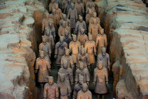 Half-Day Terracotta Warriors Group Tour