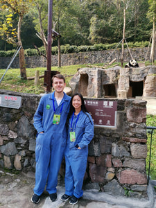 1-Day Tour for Panda Volunteer in Dujiangyan/Ya'an/Wolong
