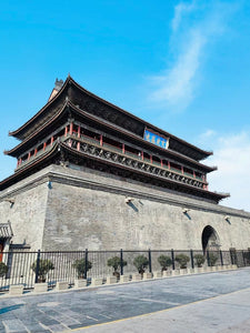 1-Day Tour at Xi'an City