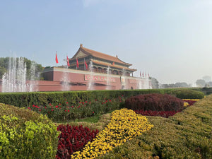 10 Days Private Tour of Beijing - Xi'an - Chengdu - Shanghai